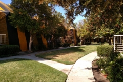 IMG_20150723_100818644