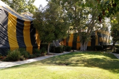 IMG_20150723_100920915