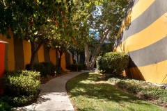 IMG_20150723_101152371_HDR