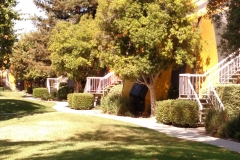 IMG_20150723_101323297