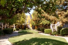 IMG_20150723_101350394_HDR