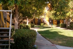 IMG_20150723_101418361_HDR