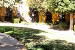 IMG_20150723_101452079