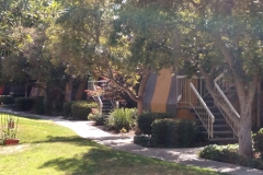 IMG_20150723_101539612