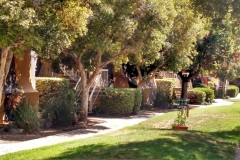 IMG_20150723_101555381_HDR