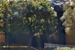 IMG_20150723_101727925_HDR