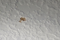 IMG_20200527_125858362