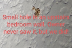 IMG_20200527_1258583622