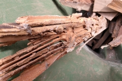 IMG_20200531_153021948_HDR