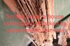 IMG_20200531_153021948_HDR2