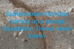 IMG_20200629_1839466292