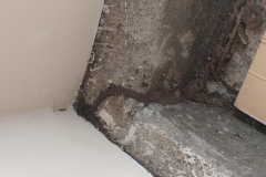 IMG_20200629_183956541