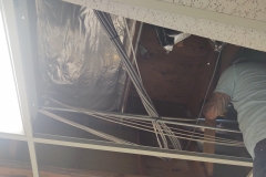 IMG_20201003_094315298